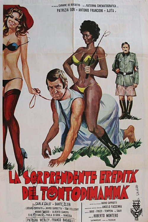 La sorprendente eredità del tontodimammà (1977) poster