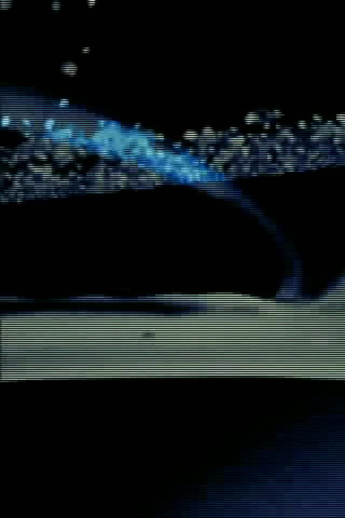 Palindrome (1969) poster