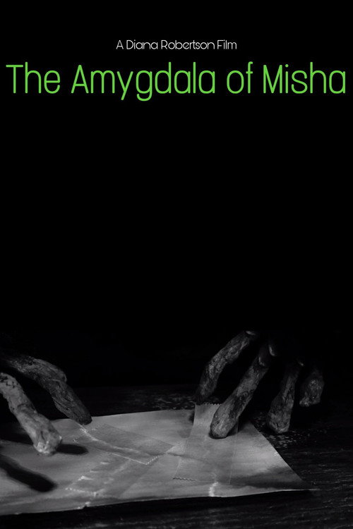 The Amygdala of Misha (2020) poster