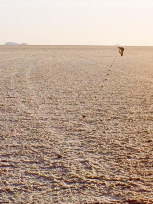 Of Seeing in Salt. Or: Ten Strategies to Face the Own Finitude in an Infinity (2024) poster