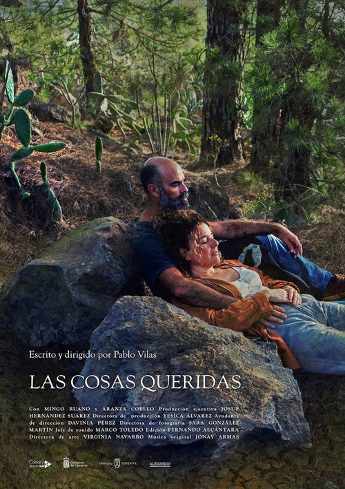 Las cosas queridas (2024) poster