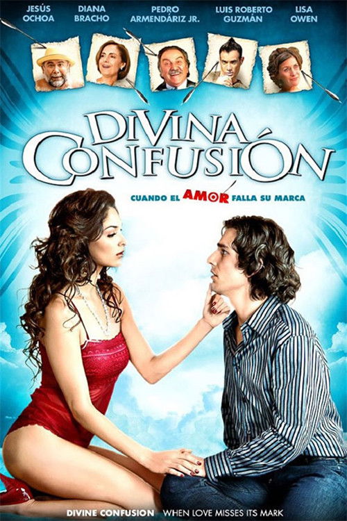 Divine Confusion (2008) poster