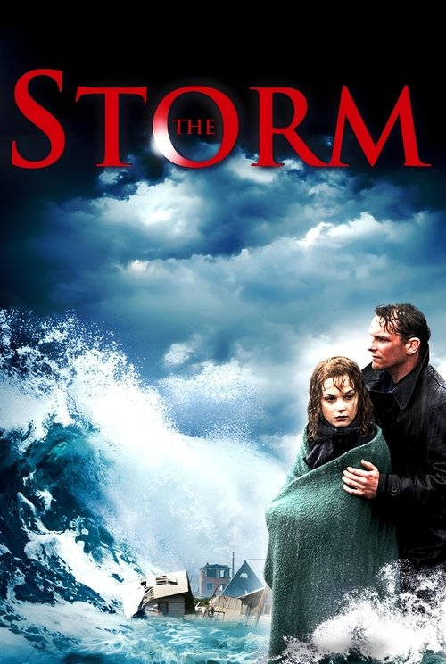 De storm (2009) poster