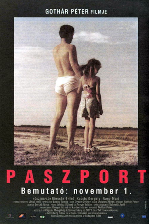 Passport (2001) poster