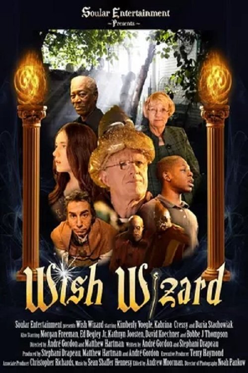 Wish Wizard (2014) poster