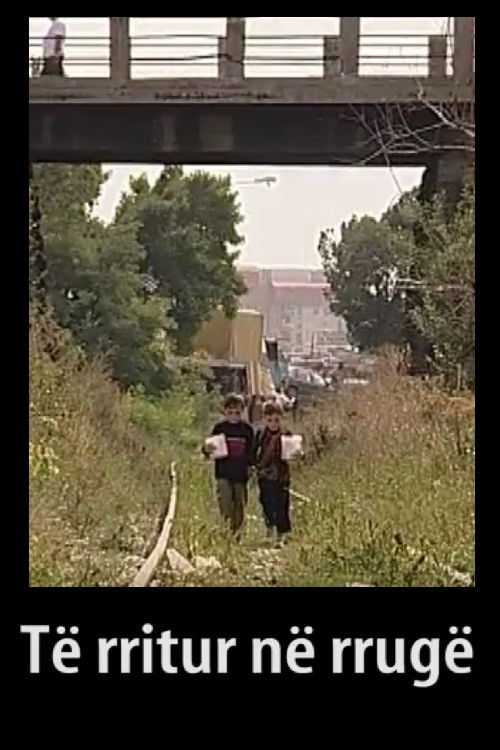 Growing Up in Streets (2006) poster