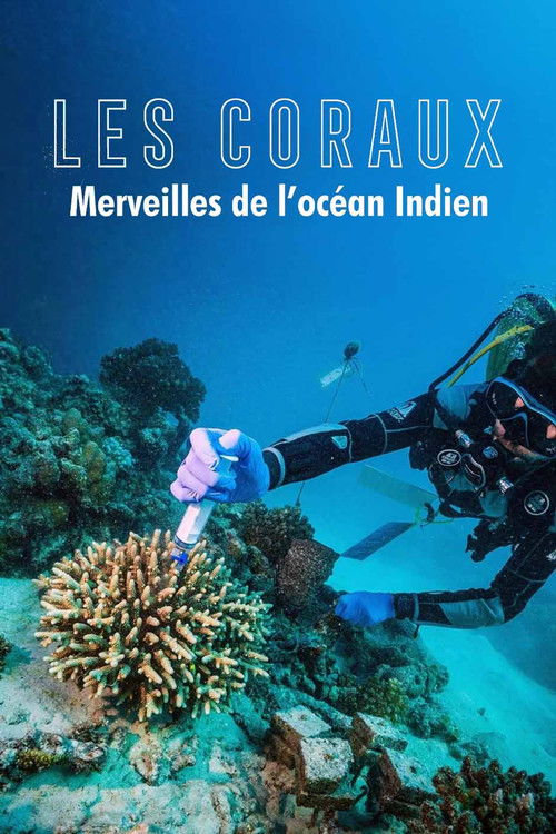 Zauber der Korallenriffe: Der Indische Ozean (2023) poster
