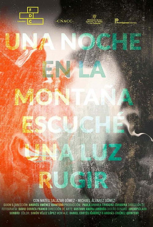 A Night in the Mountains I heard a Light Roar (2025) poster