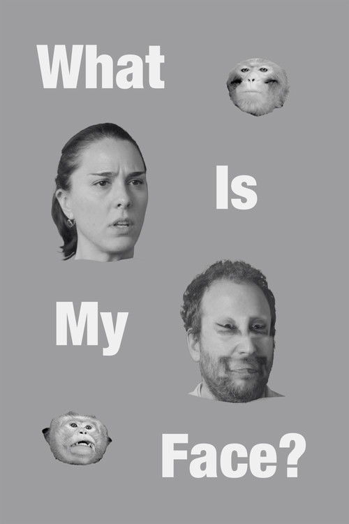 What Is My Face? poster