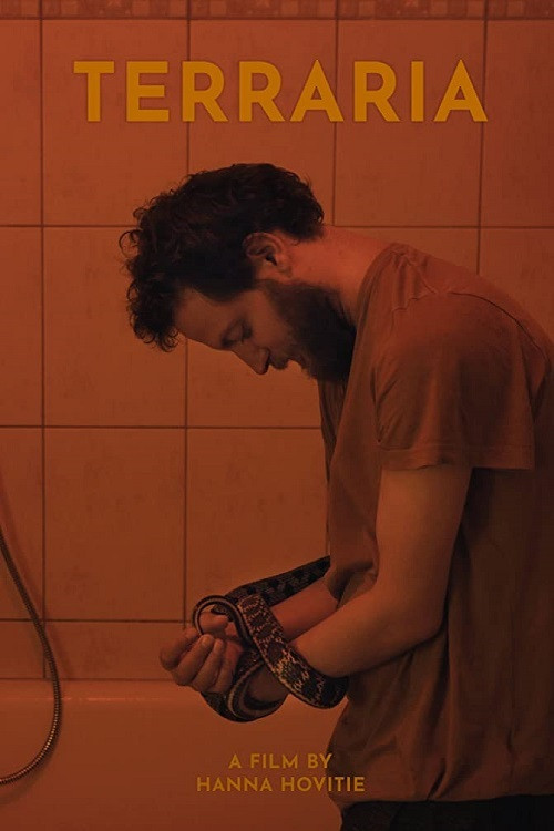 Terraria (2019) poster