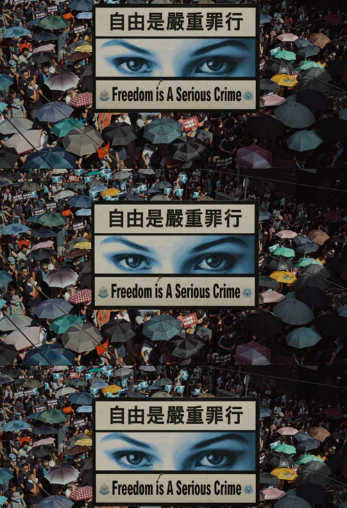 Freedom Is A Serious Crime (2020) poster