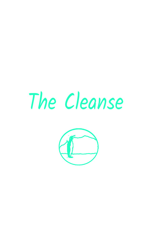 The Cleanse. (2020) poster