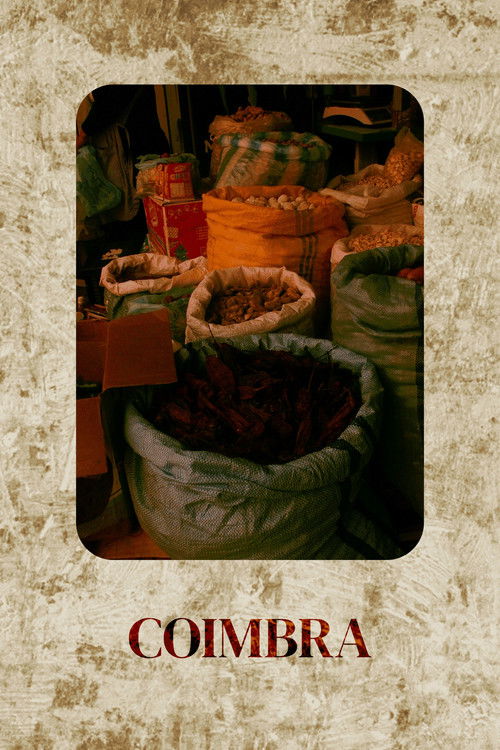 Coimbra (2025) poster