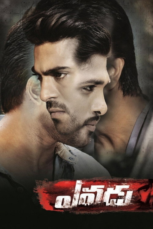 Gönüllü ./ Kim ./ Yevadu (2014) poster