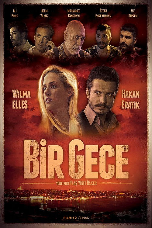 Bir Gece (2015) poster