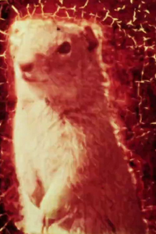 Landfill 16 (2011) poster