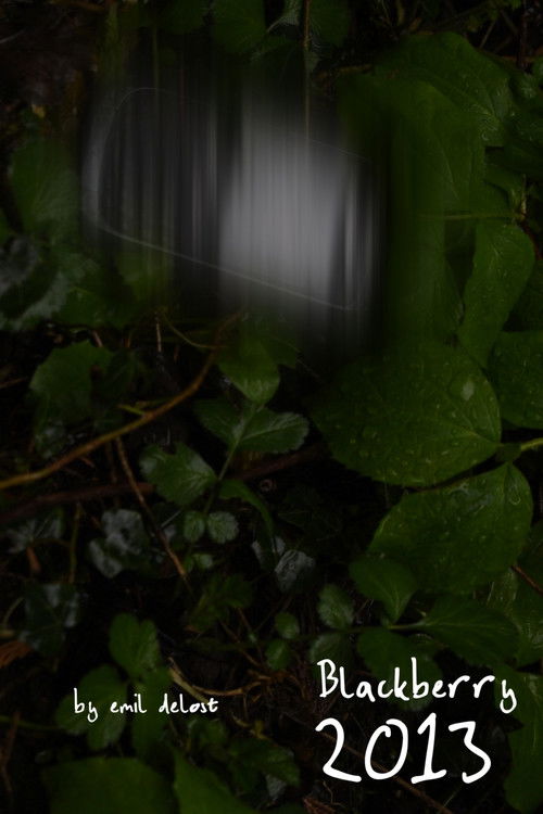 Blackberry2013 (2023) poster