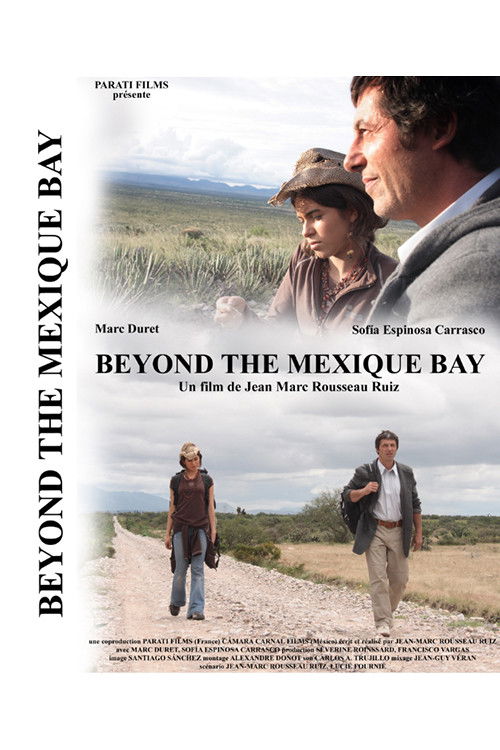 Beyond the Mexique Bay (2008) poster