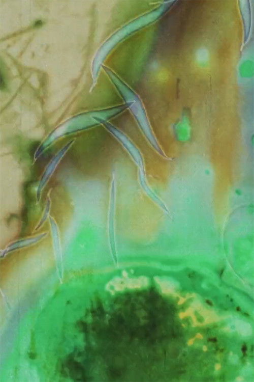 Fireside (1983) poster