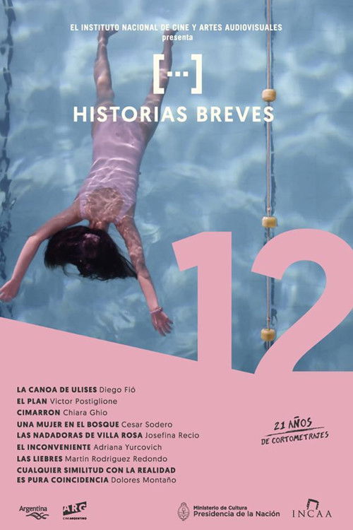 Historias breves 12 (2016) poster