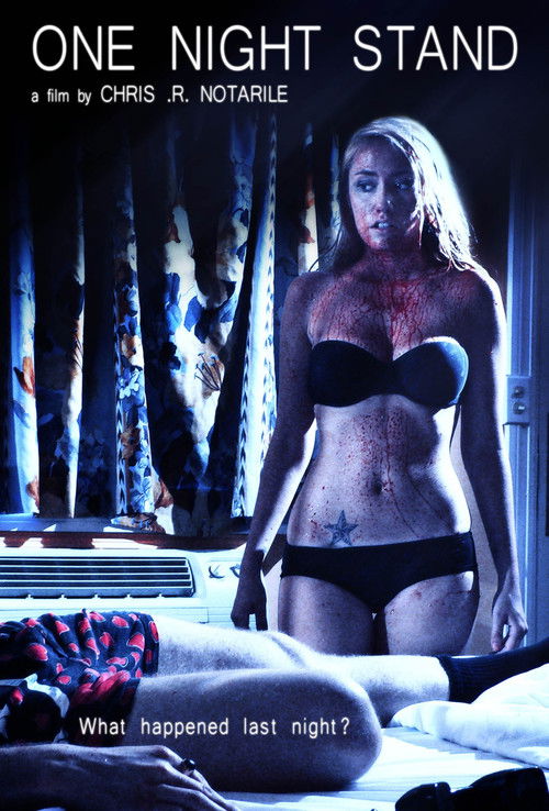 One Night Stand (2010) poster