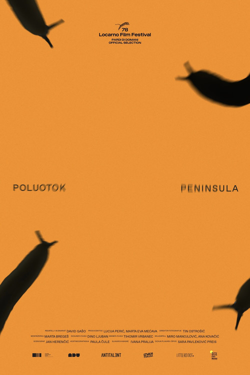 Peninsula (2025) poster
