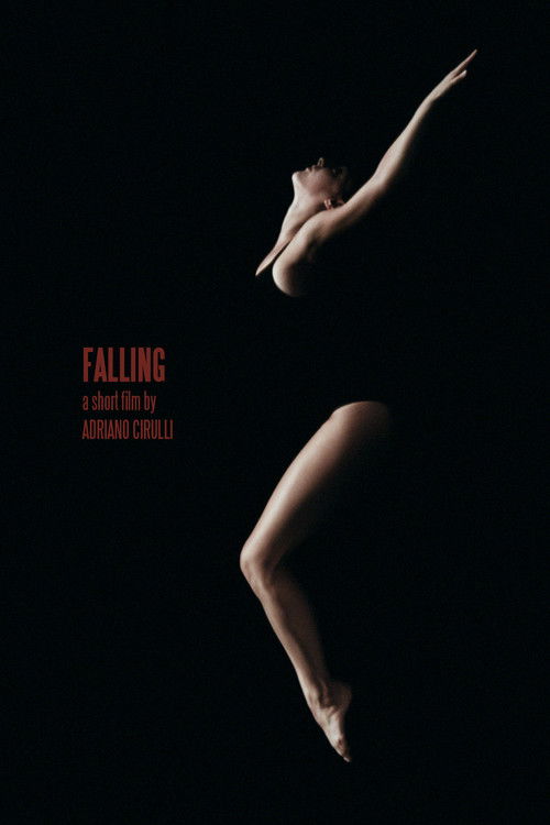 Falling (2011) poster