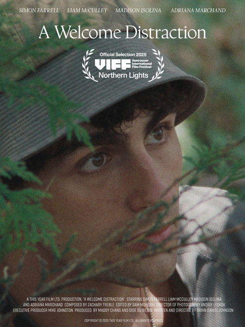 A Welcome Distraction (2025) poster