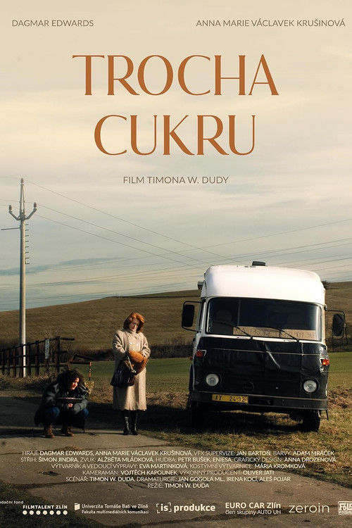 Just a Touch of Sugar (2024) poster