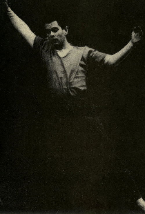 Genius on the Wrong Coast (1993) poster