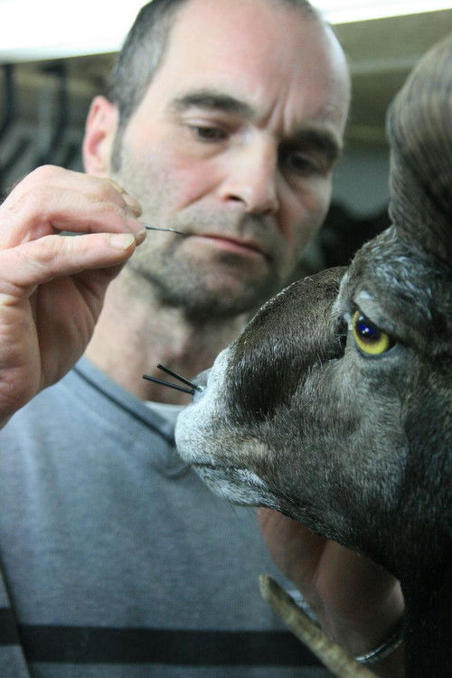 Taxidermist (2010) poster