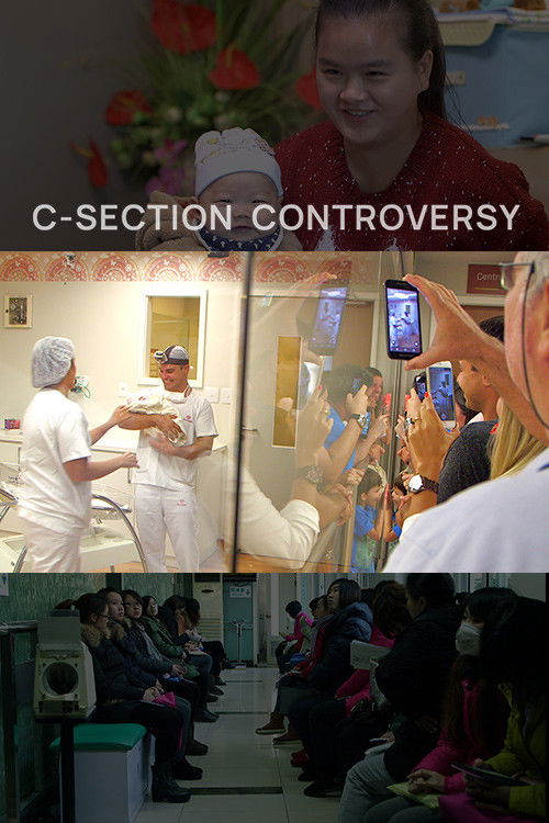 The C-Section Controversy (2016) poster