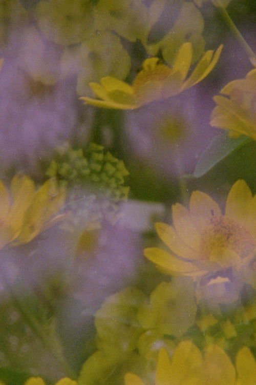 Now and in the time of our death (2024) poster