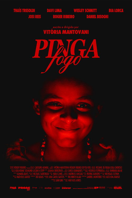 Pinga Fogo poster