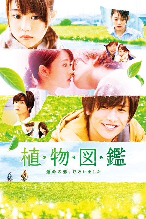 Evergreen Love (2016) poster