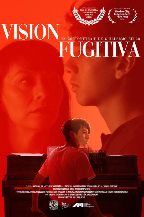 Fugitive Vision (2020) poster