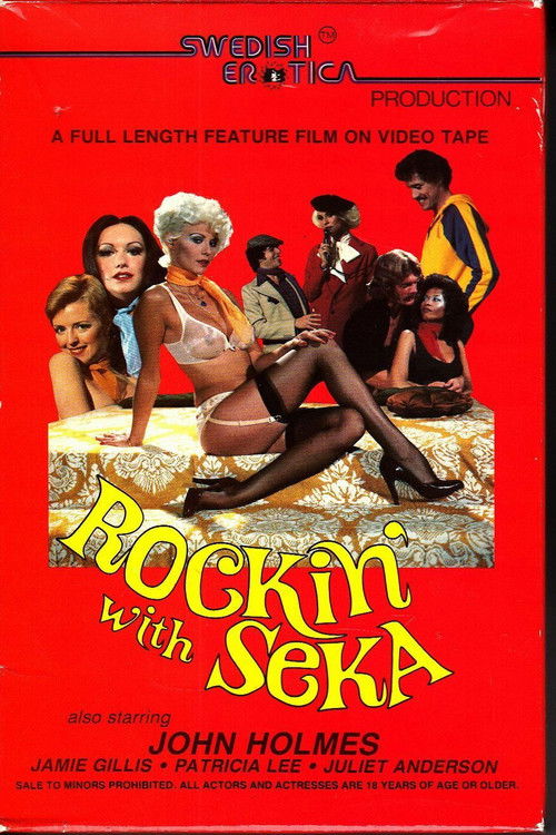 Rockin' with Seka (1980) poster
