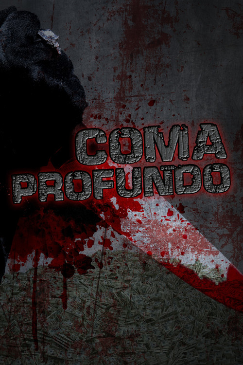 Coma profundo (2013) poster
