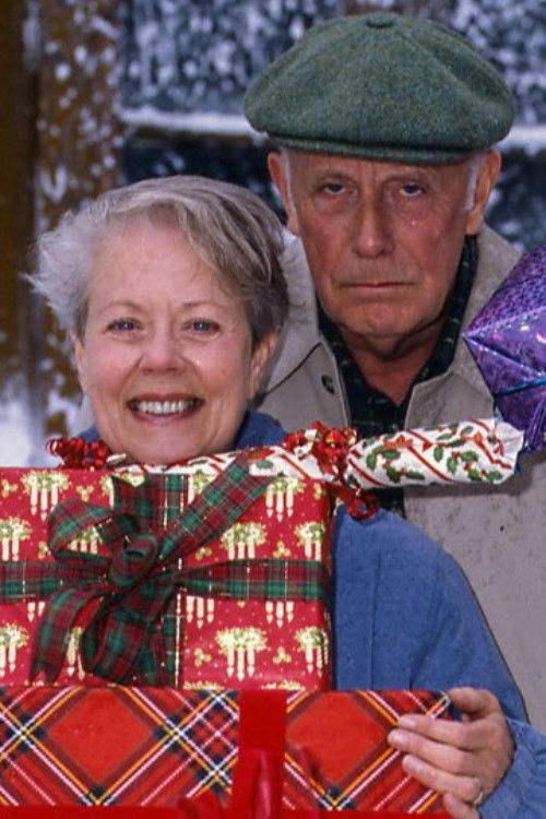 One Foot in the Grave: The Wisdom Of The Witch (1995) poster