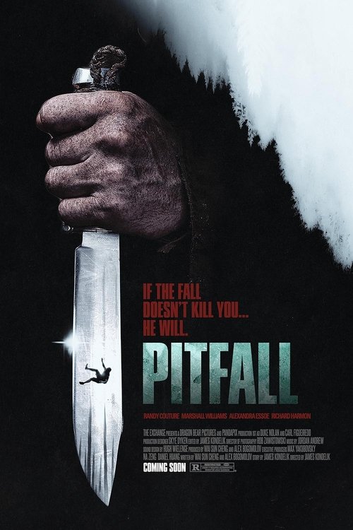 Pitfall (2025) poster