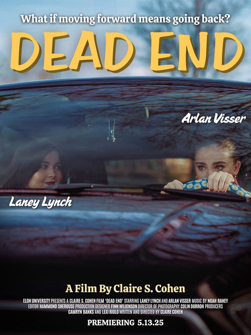 DEAD END (2025) poster