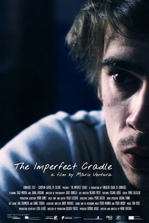 The Imperfect Cradle (2013) poster
