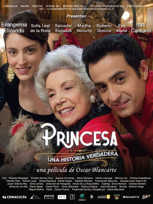 Princess, A True Story (2018) poster