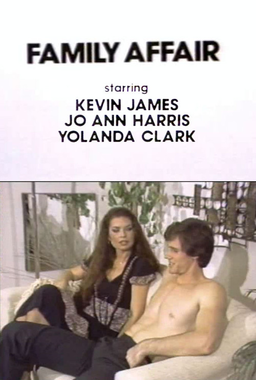 Family Affair (1983) poster