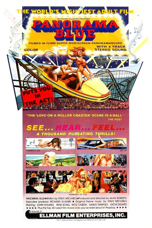 Panorama Blue (1974) poster