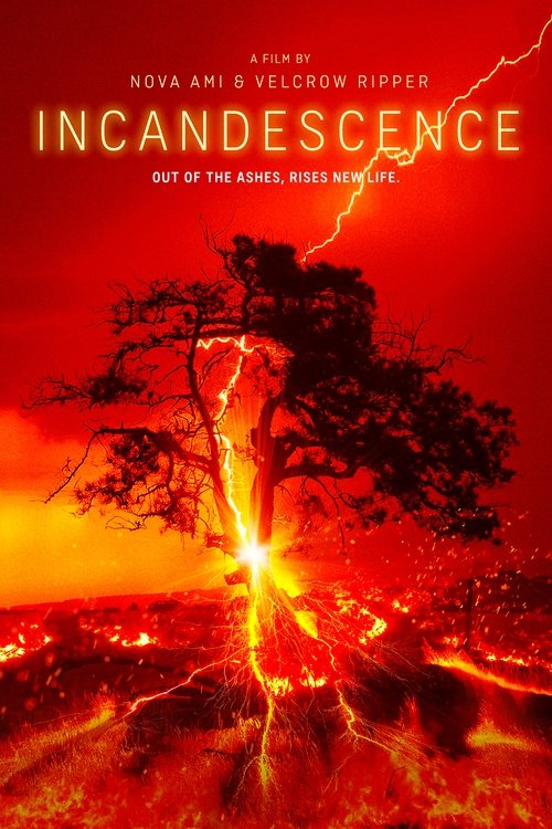 Incandescence (2024) poster