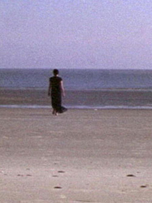 Post-Partum (2004) poster