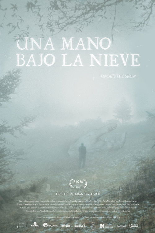 A Hand Beneath the Snow (2022) poster