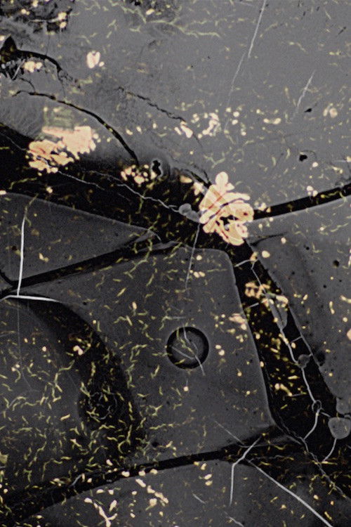 Shunyata (2021) poster