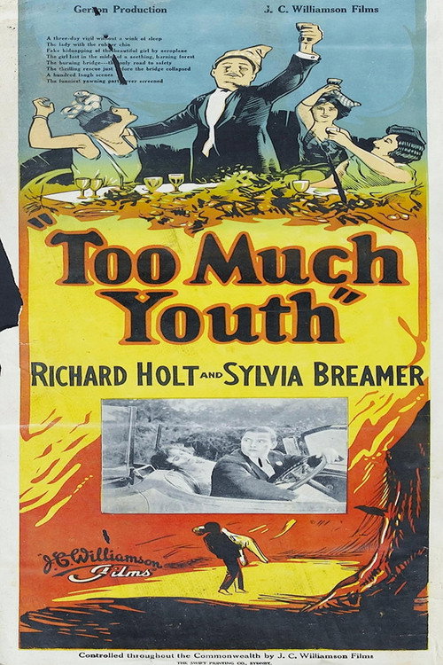 Too Much Youth (1925) poster